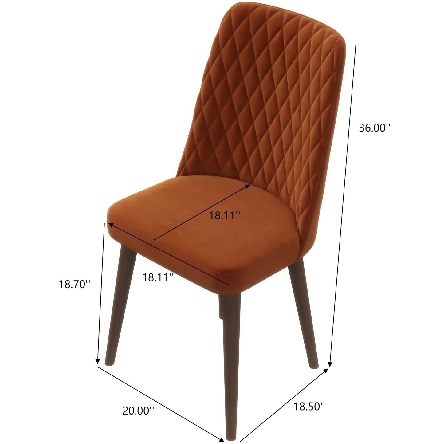 Katie - Mid-Century Modern Dining Chair (Set of 2)