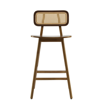 Bari - Indoor Wood Barstool (Set of 2)