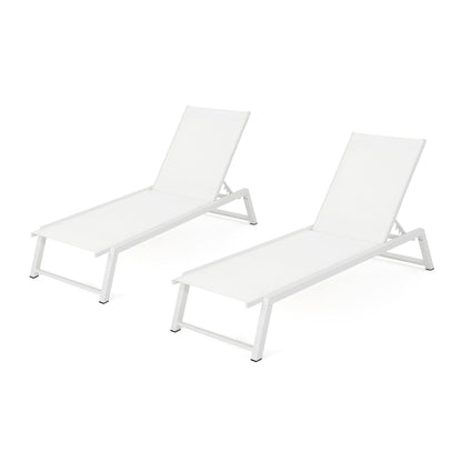 Myers - Modern Chaise Lounge Set With Adjustable Mesh Back