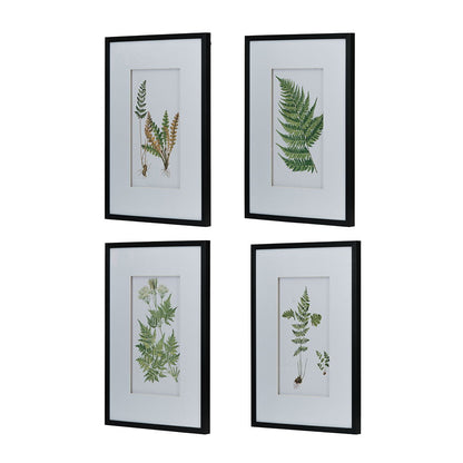 Botanical And Fern Wall Art, Wall Decor For Living Room Dining Room Entryway (Set of 4) - White / Black